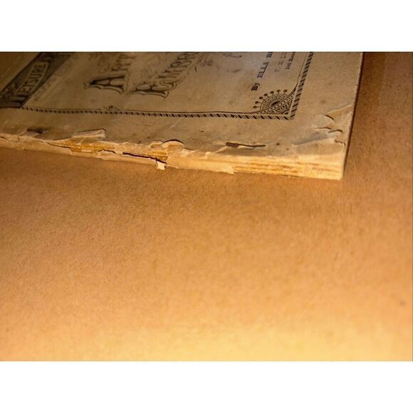 Antique 1886 Leisure Hour Liberty Vol 3 No 192 Artistic Embroidery / Ella Church - Picture 3 of 12